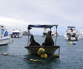 Ecuador