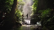 SFS: Costa Rica (Atenas) - Sustainable Development Studies