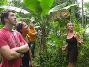 Sol Education Abroad: Heredia - Latin University of Costa Rica