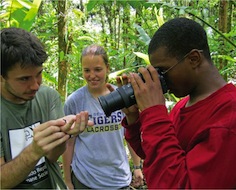 The Top 10 Study Abroad for STEM Majors